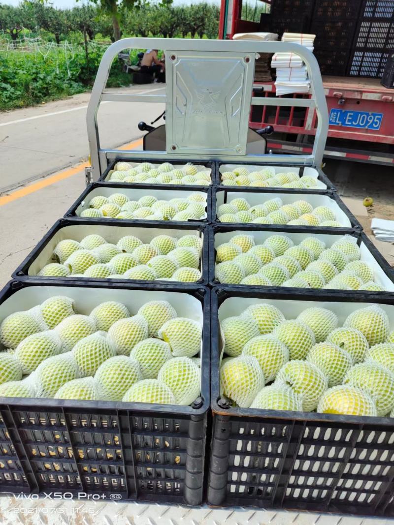 【推荐】皇冠梨翠甜精品优选现摘现发商超优选诚信经营