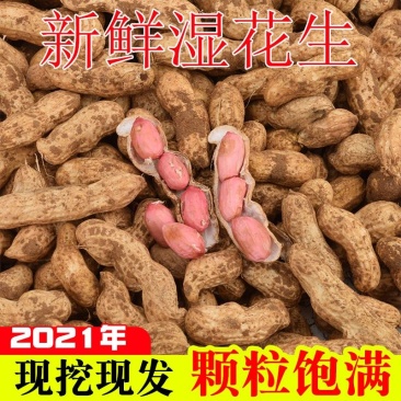 新鲜红米花生保质保量，量大从优，欢迎咨询订购