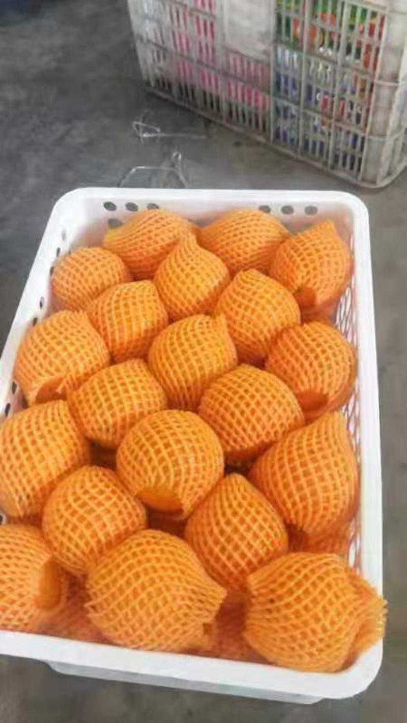 湖北脐橙纽荷尔长虹电商货市场货橙子产地现摘现发保质保量