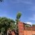 香樟树5-8-10-12-15-18-2-22-25分