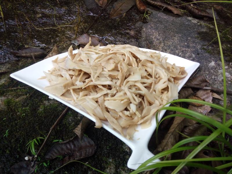 整箱20斤免泡免切亲新湿笋纸片笋炭烤笋原汁原味