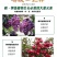 磷酸二氢钾农用叶面肥钾肥磷肥花肥花卉果树蔬菜小麦玉米通用
