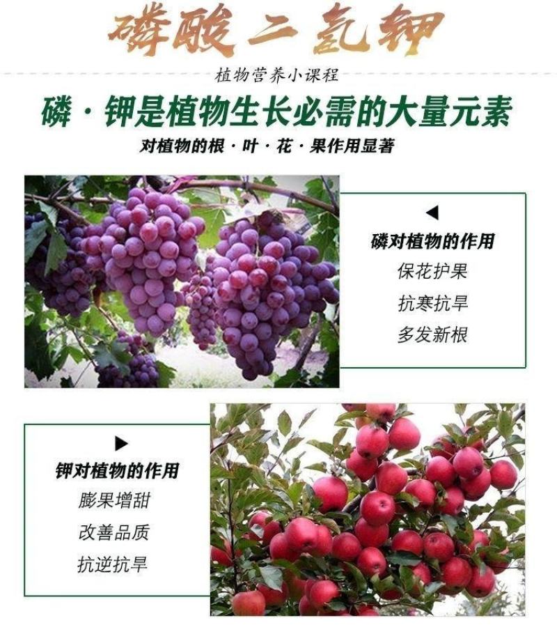磷酸二氢钾农用叶面肥钾肥磷肥花肥花卉果树蔬菜小麦玉米通用