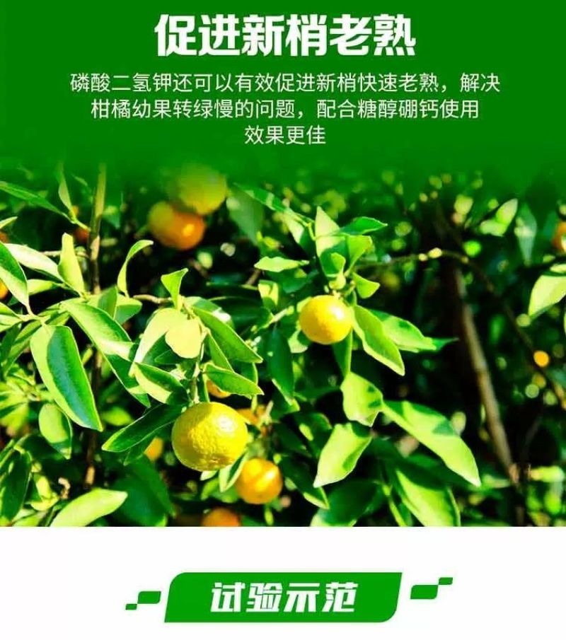 磷酸二氢钾农用叶面肥钾肥磷肥花肥花卉果树蔬菜小麦玉米通用