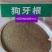 狗牙根草坪种子匍匐茎种籽四季常青护坡固土草籽耐旱耐践踏
