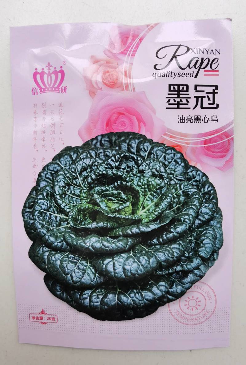 超高品质！信研墨冠黑心乌，乌塌菜种子，耐寒越冬黄心乌种子