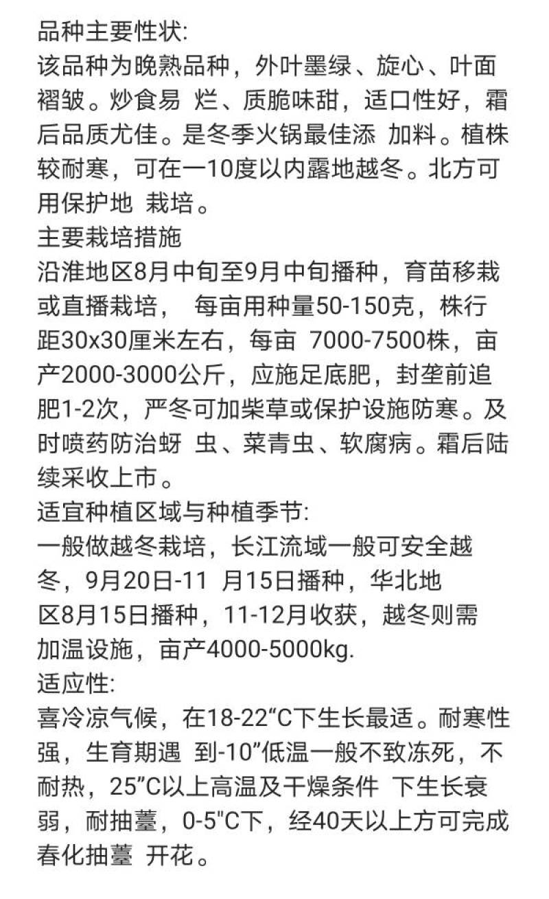 超高品质！信研墨冠黑心乌，乌塌菜种子，耐寒越冬黄心乌种子