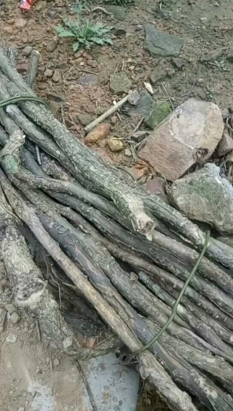 大量有货宽根滕，需要大货的老板来