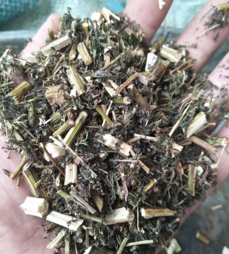 材新货正品野生青蒿天然农家精选草蒿段黑蒿子