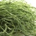 提摩西草种子提草梯牧草提木西草植物籽养兔牧草种子宠物口粮