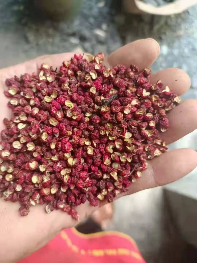 汉源干花椒贡椒花椒自家种植货源充足需要的老板量大从优