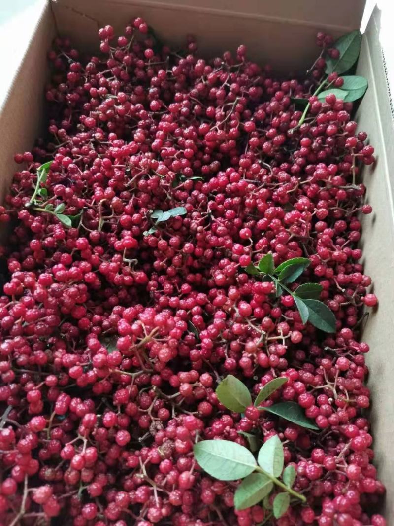 汉源干花椒贡椒花椒自家种植货源充足需要的老板量大从优