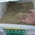 多年生黑麦草种子耐寒养牛羊马鸡鹅鱼四季草种籽牧草养殖