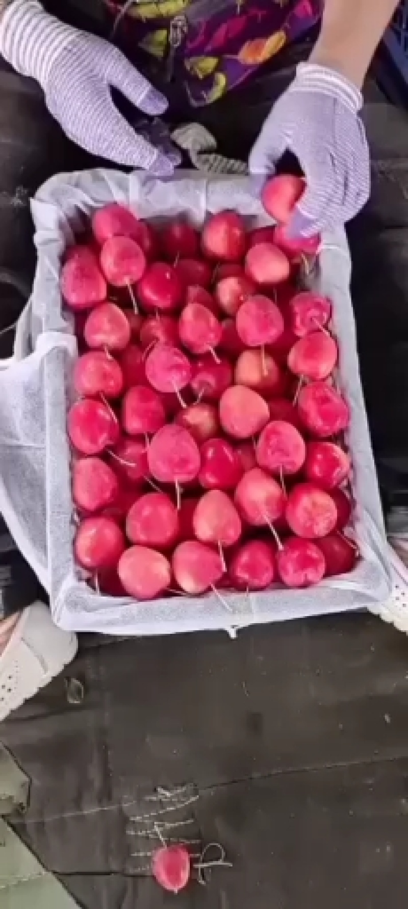 鸡心果