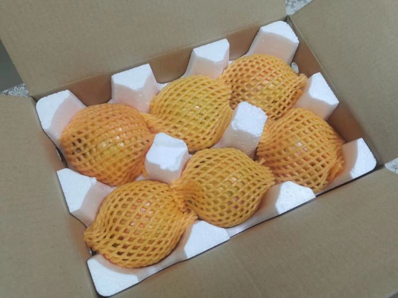 软子石榴