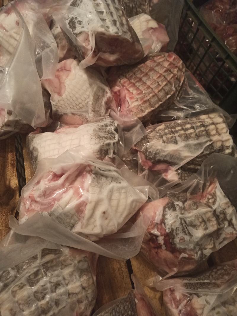 有皮去鳞鳄鱼肉质优价廉每袋都有经营利用标识贴合法销售