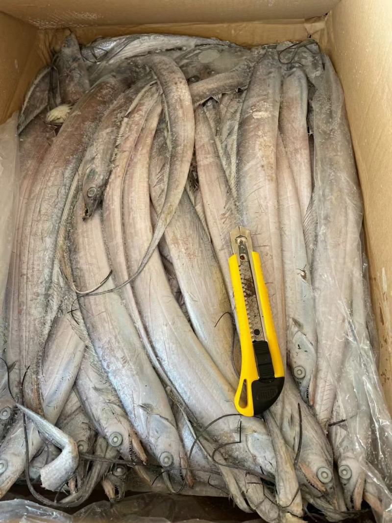 刀鱼灯光船冻，鲜度极好，厂家直发，欢迎各位老板下单。