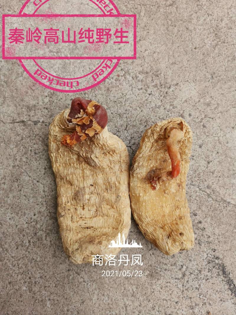 《产地热销》秦岭高山红苔*外天麻，农户自采自然晒干***