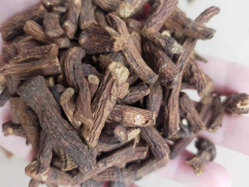蒲公英根茶蒲公英茶婆婆丁根厂家直供