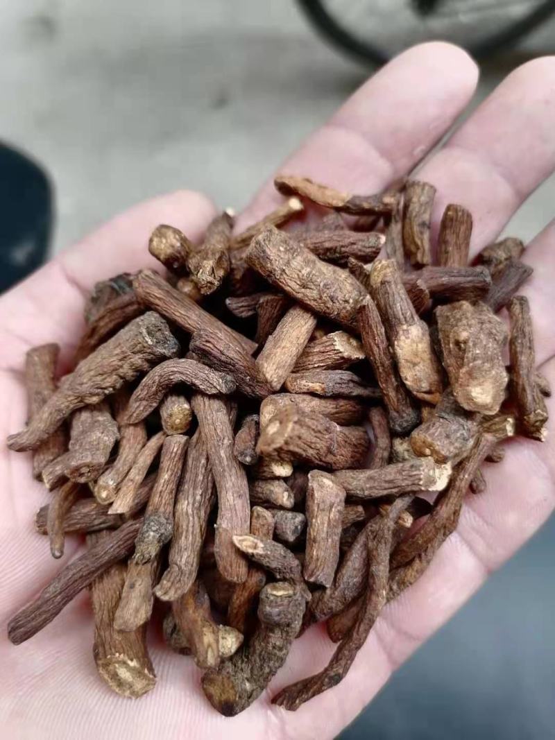 蒲公英根茶蒲公英茶婆婆丁根厂家直供