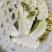 精品有机花菜大量有货需要的联系