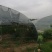 蔬菜大棚出租