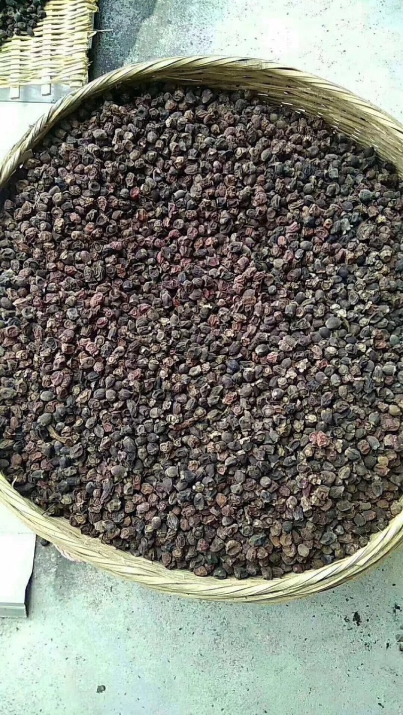 广西野生稔子干三蒸三晒足干