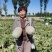 小蜜25号上市啦！价格优惠！质量好！