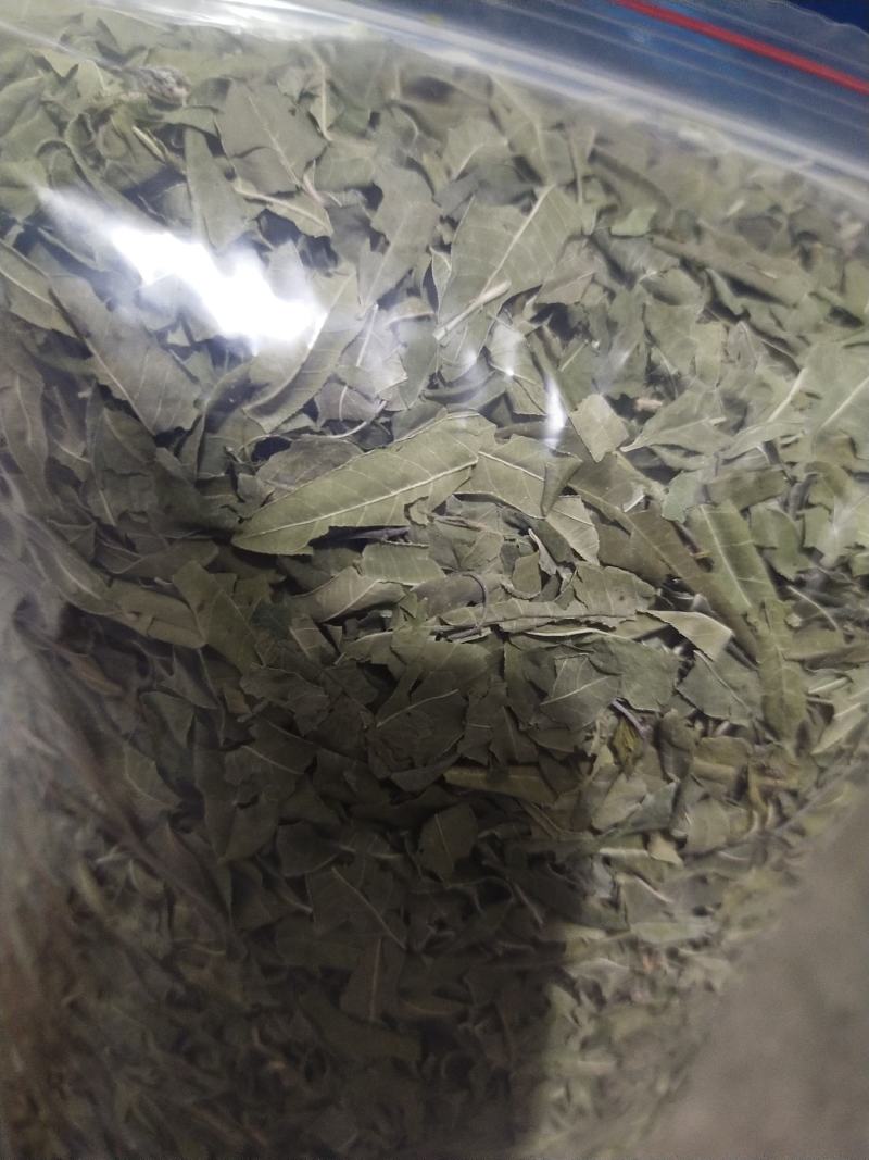 罗布麻罗布麻叶罗布麻茶正品罗布麻精选罗布麻叶