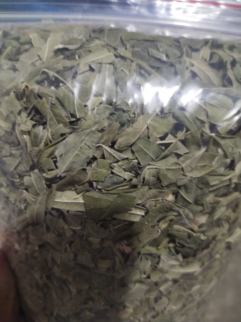 罗布麻罗布麻叶罗布麻茶正品罗布麻精选罗布麻叶