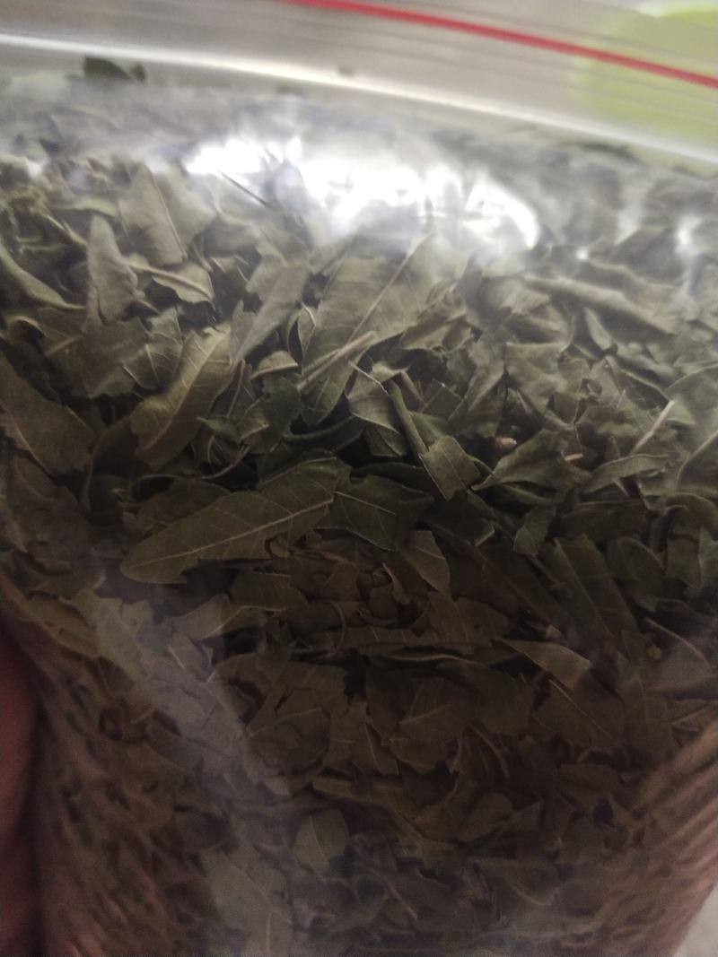 罗布麻罗布麻叶罗布麻茶正品罗布麻精选罗布麻叶