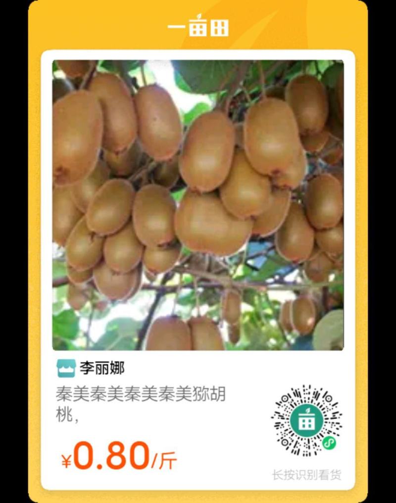 周至猕胡桃