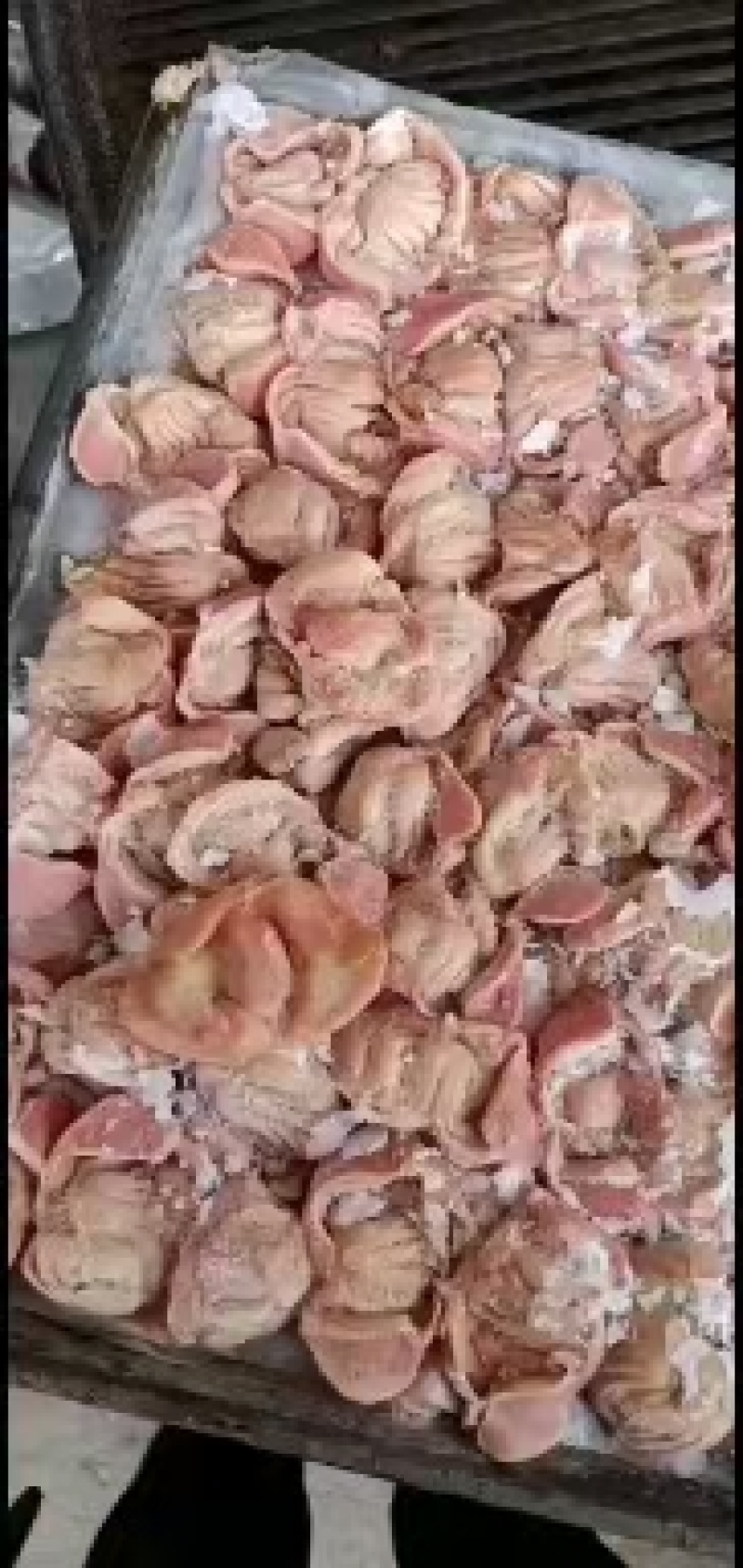 公鸡胗鸡胗鲜鸡胗三黄鸡鸡胗供应全国电商熟食加工厂