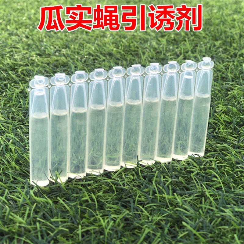 新型实用果实蝇诱捕器果园菜地瓜果实蝇药水引诱剂诱捕剂针