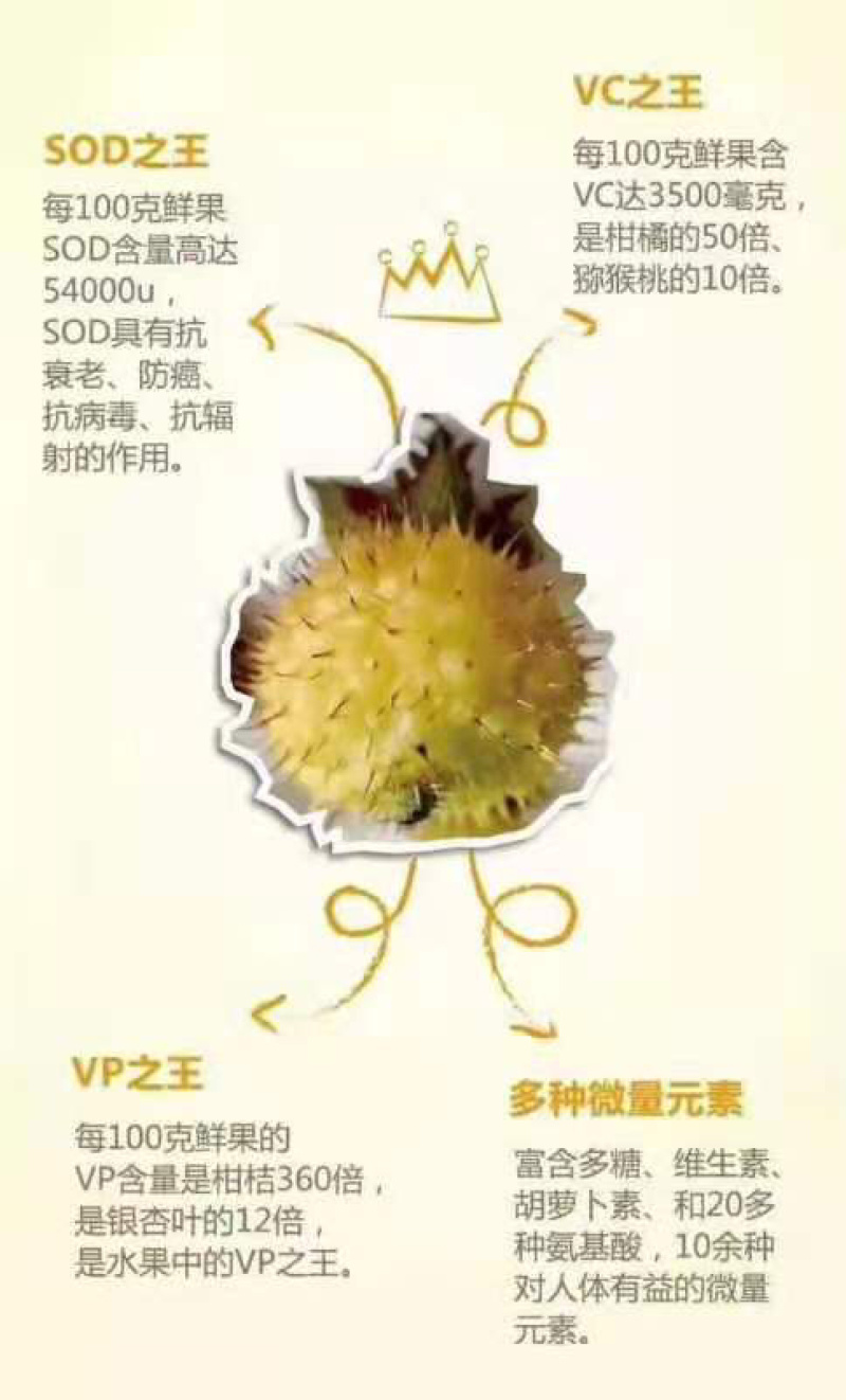 刺梨
