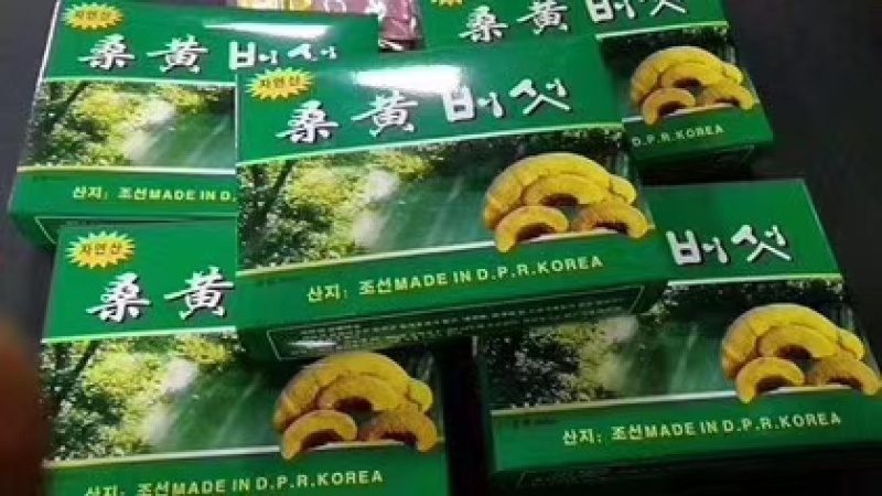 长白山桑黄礼盒500g盒装桑黄一盒一斤