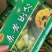 长白山桑黄礼盒500g盒装桑黄一盒一斤