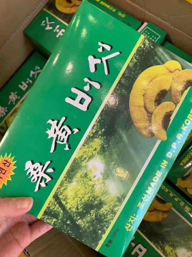 长白山桑黄礼盒500g盒装桑黄一盒一斤