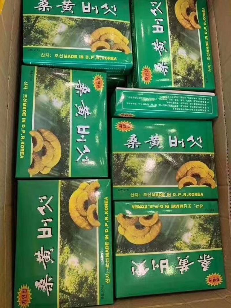 长白山桑黄礼盒500g盒装桑黄一盒一斤