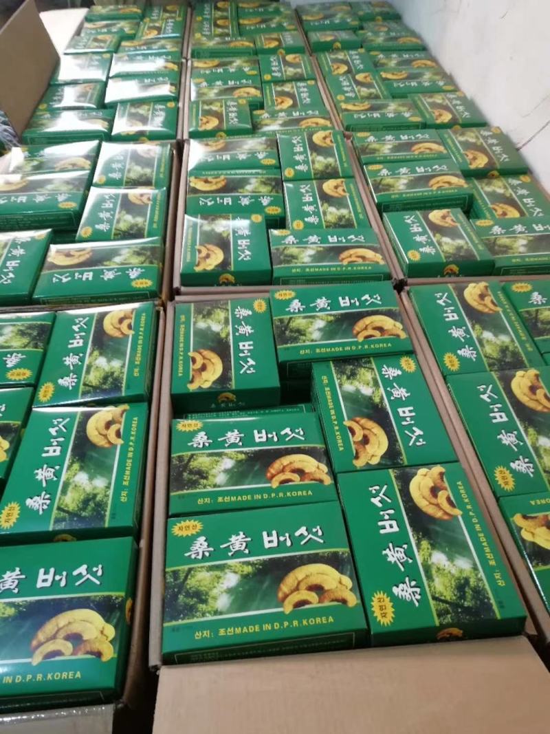 长白山桑黄礼盒500g盒装桑黄一盒一斤
