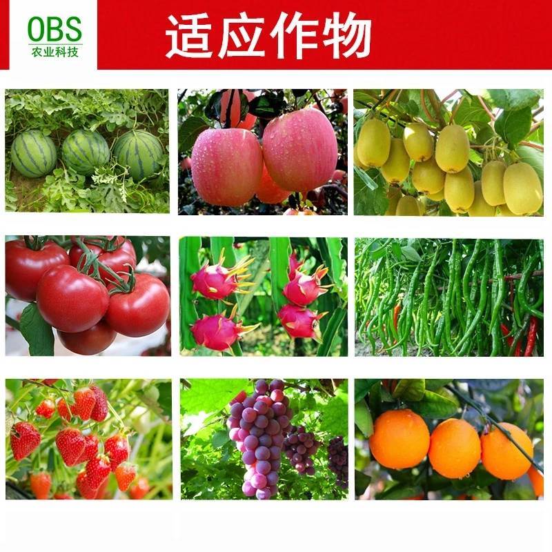 流体硼聚合硼酸钠液体硼水剂糖醇硼肥保花保果促进花芽分化