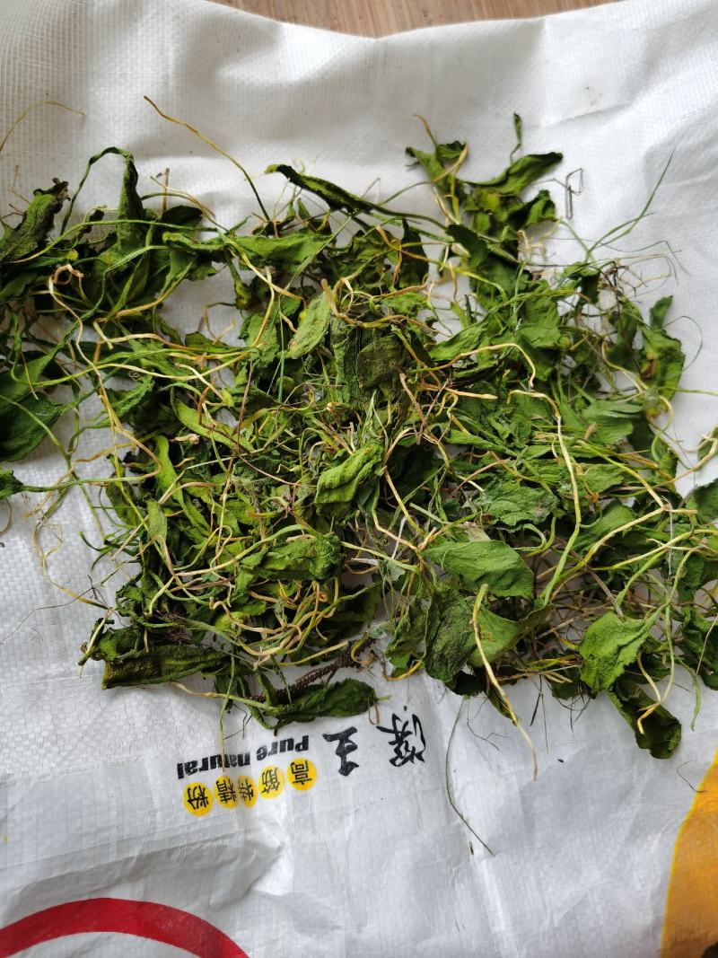 一支箭