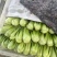 精品小油菜种植基地直供大量供专业代收代办
