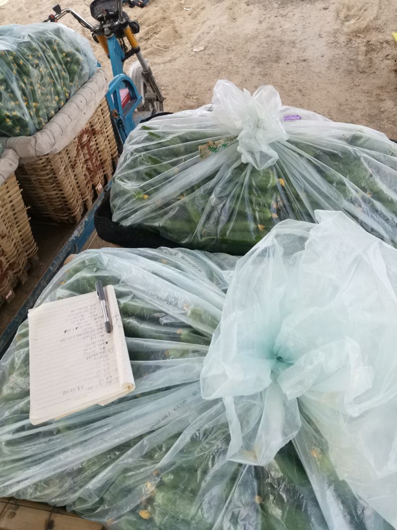 精品水果黄瓜