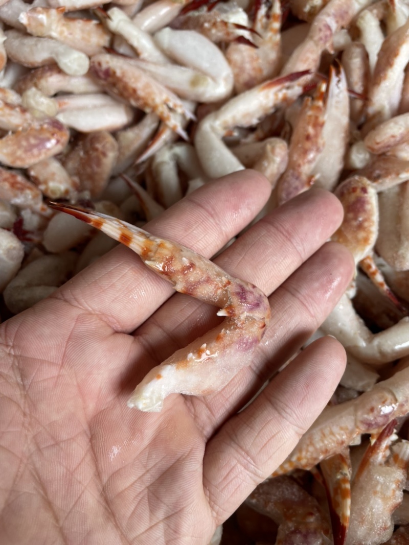 花蟹钳蟹钳螃蟹钳捞汁海鲜食材醉蟹钳海鲜水产批发