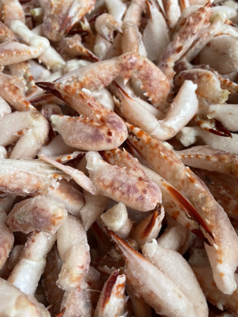 花蟹钳蟹钳螃蟹钳捞汁海鲜食材醉蟹钳海鲜水产批发