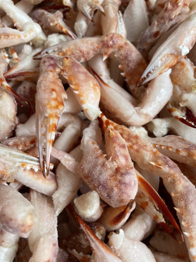 花蟹钳蟹钳螃蟹钳捞汁海鲜食材醉蟹钳海鲜水产批发