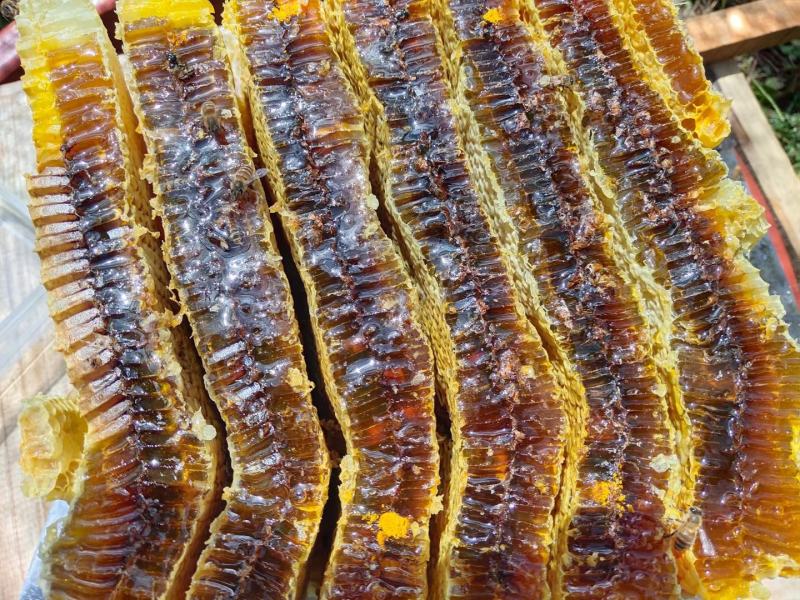 【甘肃】土蜂蜜一手货源充足，自然成熟一件代发，包邮价格