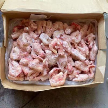 羔羊拐筋，质量好，一手货源，全国冷链发货