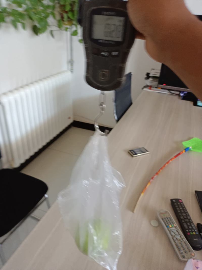 敦煌早酥梨